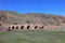 Çobandede Bridge is located in Erzurum, Turkey.