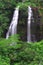 Ê»ÅŒpaekaÊ»a Kauai Waterfall