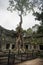 Ð¢Ð° Prohm is the largest temple, it rains in the rainy season.  Restorers spared banyan trees with their aerial roots. The