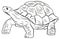 ÐŸÐµIn the animal world. Turtle image. Black and white drawing, coloring.Ñ‡Ð°Ñ‚ÑŒ