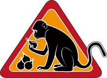 Боевики обстреляли из САУ собственный блокпост, - разведка - Цензор.НЕТ 7629