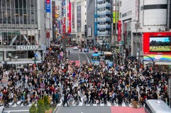 全部新宿的人横渡的行人穿越道图库摄影片 图片包括有商业 交叉路 布