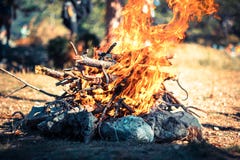 木火的特写库存图片 图片包括有木柴 火焰 能源 易燃 森林 火光 杉木 红色 烧伤