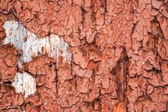 破裂的棕色油漆特写赤陶色破烂的墙背景库存图片 图片包括有赤陶色破烂的墙背景 破裂的棕色油漆特写