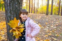 秋日的户外画像中 一个枫叶儿童在阳光明媚的日子 背景 黄金时节在公园玩耍库存照片 图片包括有金黄 人力