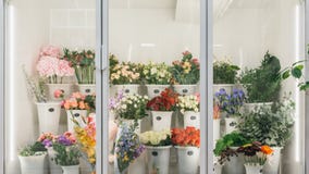 花店概念不同的品种新春天在花的冰箱屋子里开花在架子的花束库存图片 图片包括有制作 生气勃勃