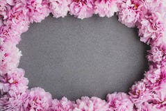 花框 用鲜艳的粉色牡丹花开库存图片 图片包括有牡丹 自然 一堆 节假日 平面 醉汉 新鲜