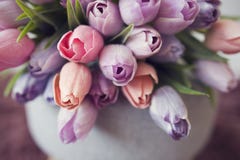郁金香花春花装饰灰色桌布上的紫色 紫色 橙色和粉红色郁金香库存照片 图片包括有礼品 草本 郁金香花春花装饰灰色桌布上的紫色 紫色 橙色和粉红色郁金香库存照片 图片包括有礼品 草本
