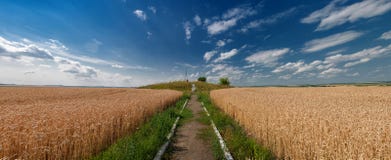 geodetico рк di Struve Ð per la misurazione della terra nel giacimento di grano fotografie stock libere da diritti geodetico рк di Struve Ð per la misurazione della terra nel giacimento di grano fotografie stock libere da diritti