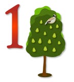 12 Tage Weihnachten: 1 Partrige in einem Birnen-Baum lizenzfreie abbildung 12 Tage Weihnachten: 1 Partrige in einem Birnen-Baum lizenzfreie abbildung