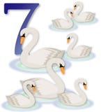 12 Tage Weihnachten: 7 Schwäne eine Schwimmen stock abbildung 12 Tage Weihnachten: 7 Schwäne eine Schwimmen stock abbildung