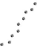 2 pawprints psa. royalty ilustracja 2 pawprints psa. royalty ilustracja