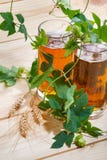 2 кружки с пивом в зеленых хмелях, зернах пшеницы на деревянном столе стоковые изображения rf 2 кружки с пивом в зеленых хмелях, зернах пшеницы на деревянном столе стоковые изображения rf