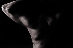 男性裸体库存照片 图片包括有