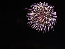 4th of July Fireworks Celebration in USA Royalty Free Stock Photography 4th of July Fireworks Celebration in USA Royalty Free Stock Photography