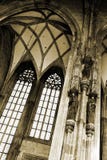 55 vienna Royaltyfri Bild