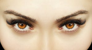 A Beautiful Insightful Look Woman Eyes. Close Up Shot. Royalty Free Stock Image