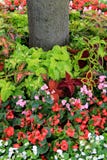A Bed Of Ferns And Flowers Stock Images A Bed Of Ferns And Flowers Stock Images