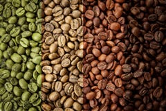 A Collage Of Coffee Beans Showing Various Stages Of Roasting From Raw Through To Italian Roast. Stock Photography