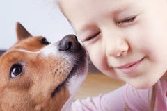 A Dog Sniffs A Little Girl`s Face Royalty Free Stock Image