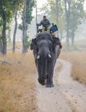 A Forest Guard Patrolling The Park On Elephant Back Stock Photography A Forest Guard Patrolling The Park On Elephant Back Stock Photography