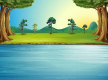 A Forest With A River Royalty Free Stock Photos A Forest With A River Royalty Free Stock Photos
