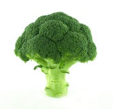 A Fresh Broccoli Royalty Free Stock Photo