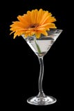 A Gerbera Daisy Cocktail Royalty Free Stock Images