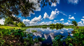 A High Resolution, Colorful, Panoramic Shot Of Beautiful 40-Acre Lake In Summertime Royalty Free Stock Images