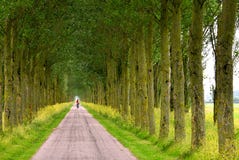 A Long Way To Go Stock Photography A Long Way To Go Stock Photography