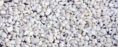 A Lot Of Round And Oval Stones Of White Color Lie On The Ground Stock Image