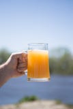 A Man`s Hand Holds A Glass Of Beer. Background River Royalty Free Stock Images