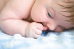 A New Born Boy Stock Photography
