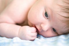 A New Born Boy Stock Photography