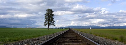 A Panorama Of Tracks Through A Field. Royalty Free Stock Image