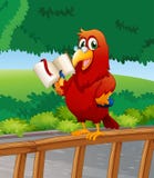 A Parrot Reading A Book Above The Wooden Fence Royalty Free Stock Images A Parrot Reading A Book Above The Wooden Fence Royalty Free Stock Images