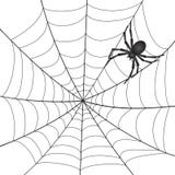 A Spiderweb With Spider Stock Image A Spiderweb With Spider Stock Image