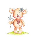 A Teddy Bear With Daisy Royalty Free Stock Image A Teddy Bear With Daisy Royalty Free Stock Image