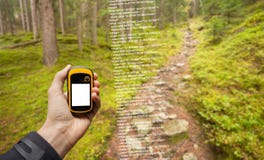 A Trekker Is Finding The Right Position In The Forest Via Gps In A Cloudy Autumnal Day Stock Images
