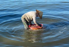A Woman Cleaning Fish On The Sea In Cam Ranh Bay, Vietnam Stock Image