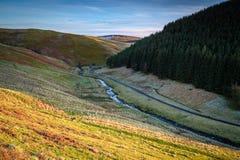 A Young River Coquet Meanders Past Carshope Plantation Royalty Free Stock Images