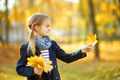 Aanbiddelijk jong meisje die pret op mooie de herfstdag hebben Het gelukkige kind spelen in de herfstpark Jong geitje die geel da stock foto Aanbiddelijk jong meisje die pret op mooie de herfstdag hebben Het gelukkige kind spelen in de herfstpark Jong geitje die geel da stock foto