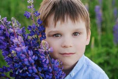 Aanbiddelijke jongen in een blauwe T-shirt met een boeket van lupines in een weide royalty-vrije stock afbeelding Aanbiddelijke jongen in een blauwe T-shirt met een boeket van lupines in een weide royalty-vrije stock afbeelding