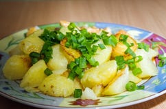 Aardappels met vlees en groene uien royalty-vrije stock foto Aardappels met vlees en groene uien royalty-vrije stock foto