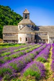 Abadía de Senanque, lavanda de Provence, Francia imagenes de archivo Abadía de Senanque, lavanda de Provence, Francia imagenes de archivo