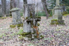 Abandoned cemetery