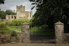 Abbazia di Tintern contea Wexford l'irlanda immagine stock libera da diritti Abbazia di Tintern contea Wexford l'irlanda immagine stock libera da diritti