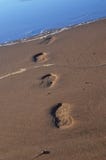 Abdrücke im Sand, der in der Ostsee verschwindet lizenzfreies stockbild Abdrücke im Sand, der in der Ostsee verschwindet lizenzfreies stockbild