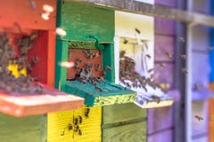 Abeilles volant à la ruche colorée images libres de droits Abeilles volant à la ruche colorée images libres de droits