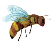 abelha engraçada dos desenhos animados Ilustração da aguarela ilustração do vetor abelha engraçada dos desenhos animados Ilustração da aguarela ilustração do vetor